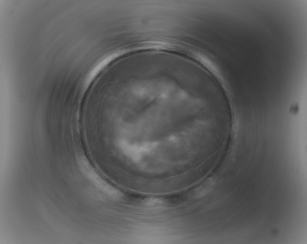 X0000113251283200909171617