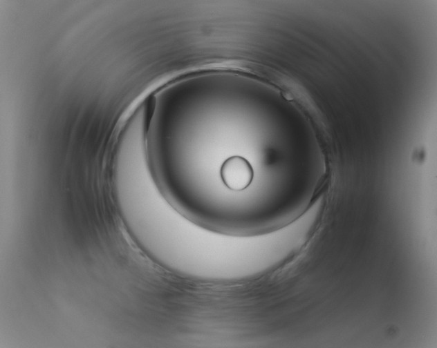 X0000113251284200909171617