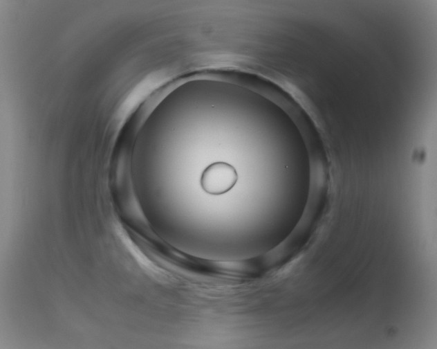 X0000113251285200909171617