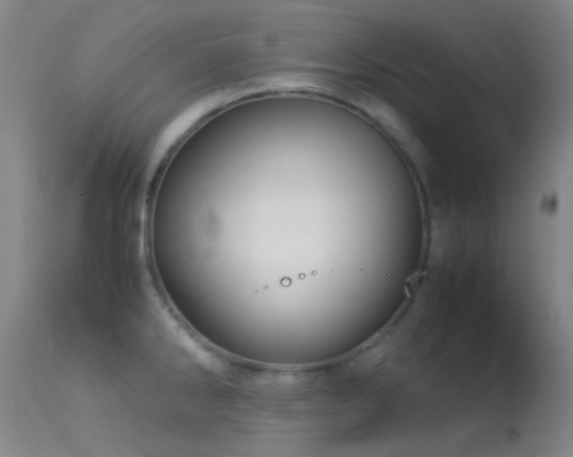 X0000113251286200909171617