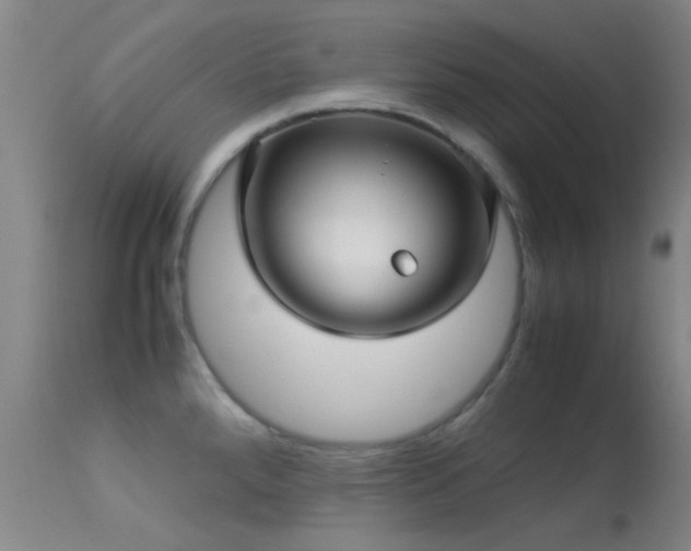 X0000113251288200909171617