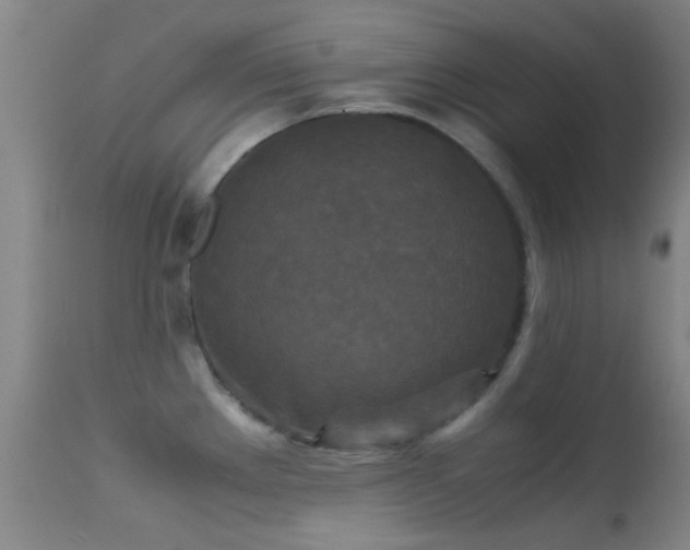 X0000113251289200909171617