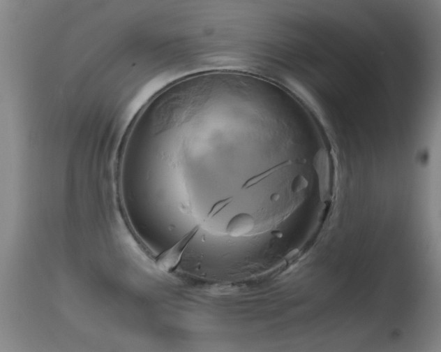 X0000113251291200909171617