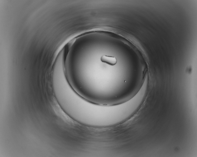 X0000113251292200909171617