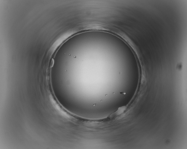 X0000113251293200909171617