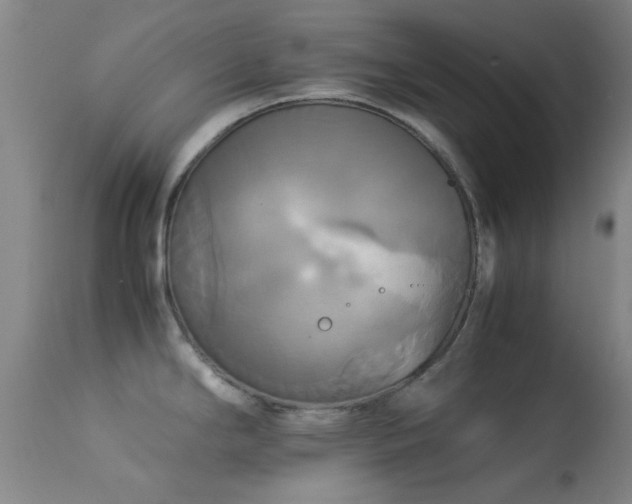 X0000113251294200909171617