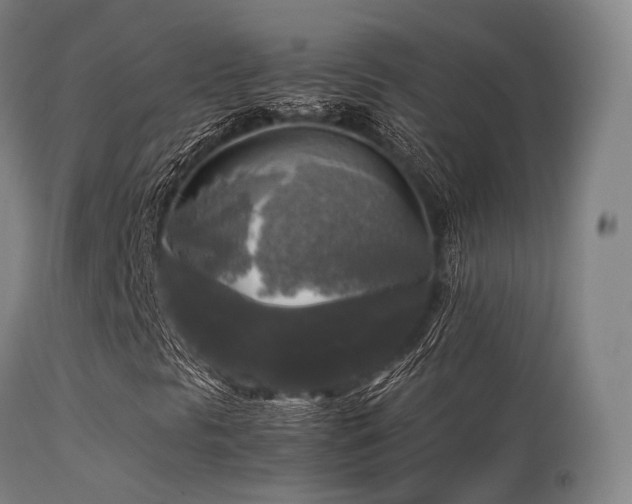 X0000113251297200909171616