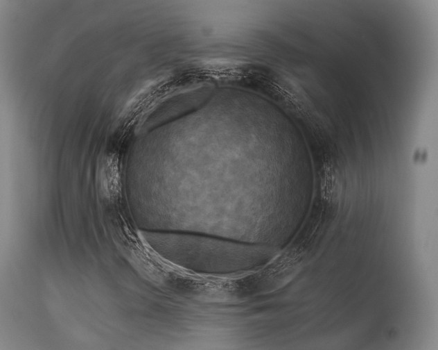 X0000113251298200909171616