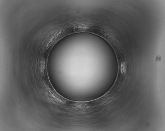 X0000113251299200909171616