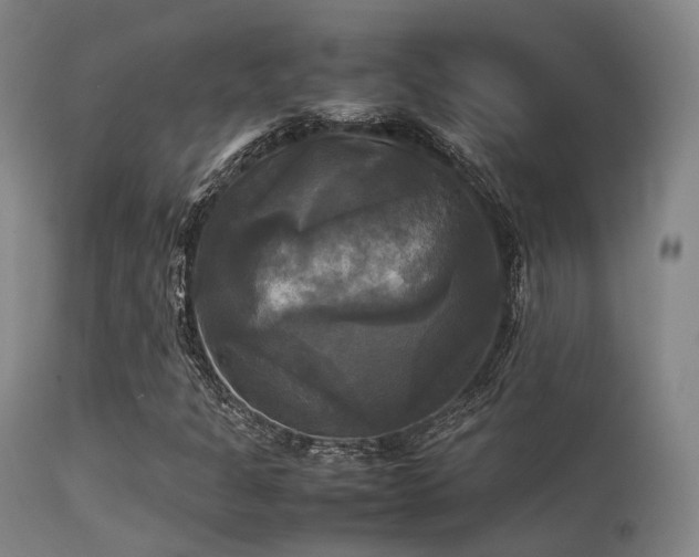 X0000113251301200909171616
