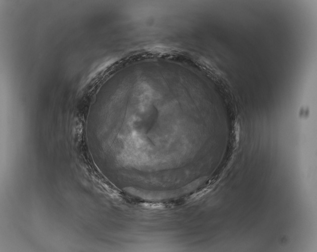 X0000113251302200909171616