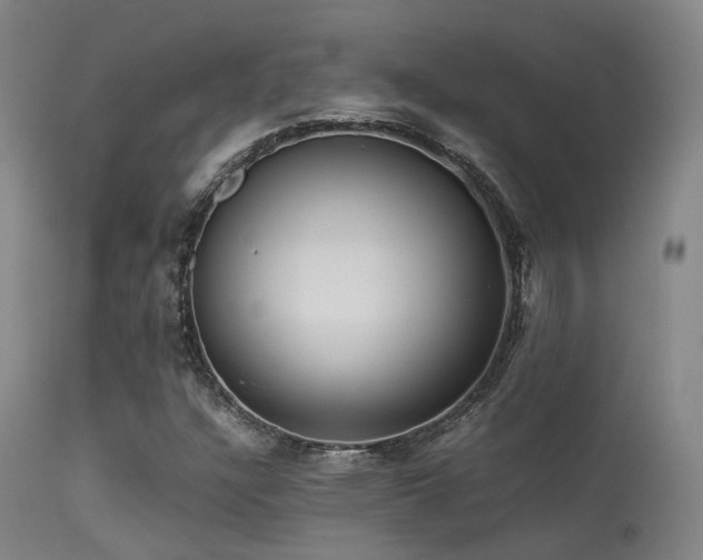 X0000113251304200909171616