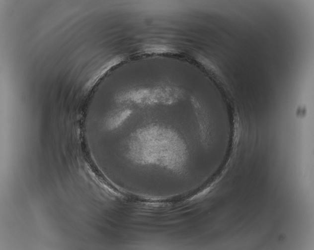 X0000113251305200909171616
