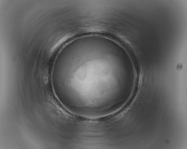 X0000113251306200909171616