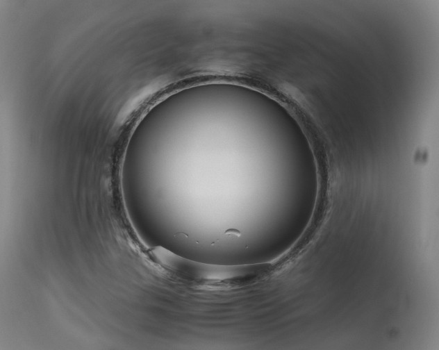 X0000113251307200909171616