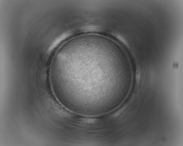 X0000113251309200909171616