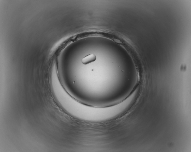 X0000113251310200909171616