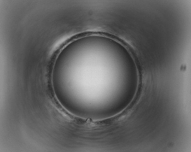 X0000113251311200909171616