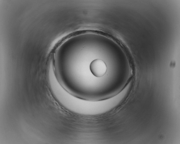 X0000113251312200909171616
