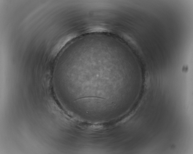 X0000113251313200909171617