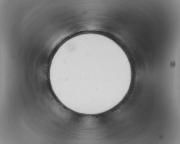 X0000113251314200909171617