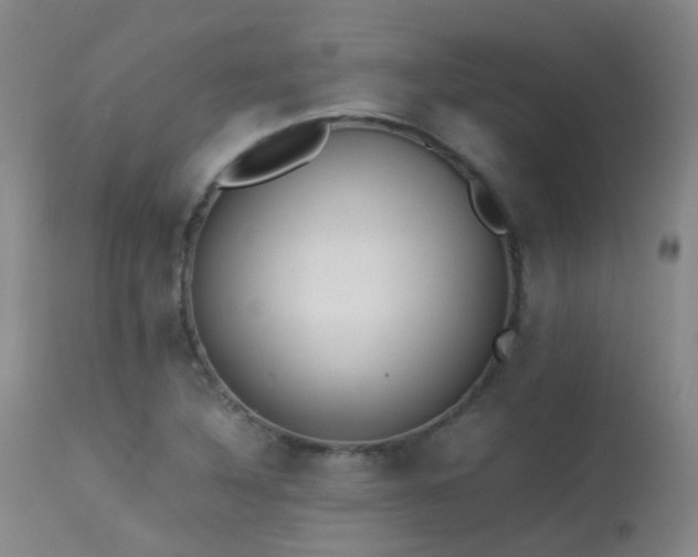 X0000113251316200909171617