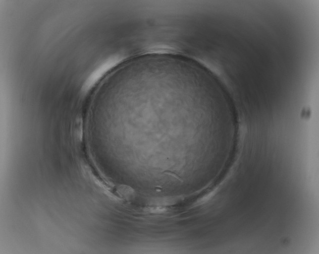 X0000113251317200909171617