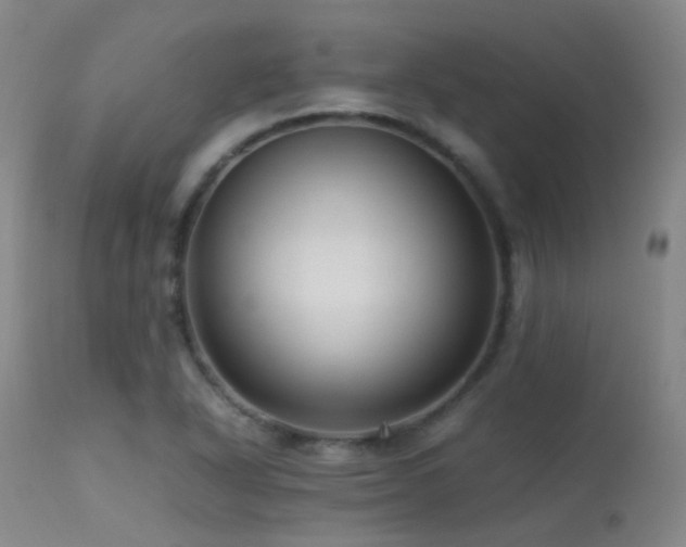 X0000113251318200909171617