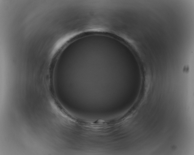 X0000113251319200909171617