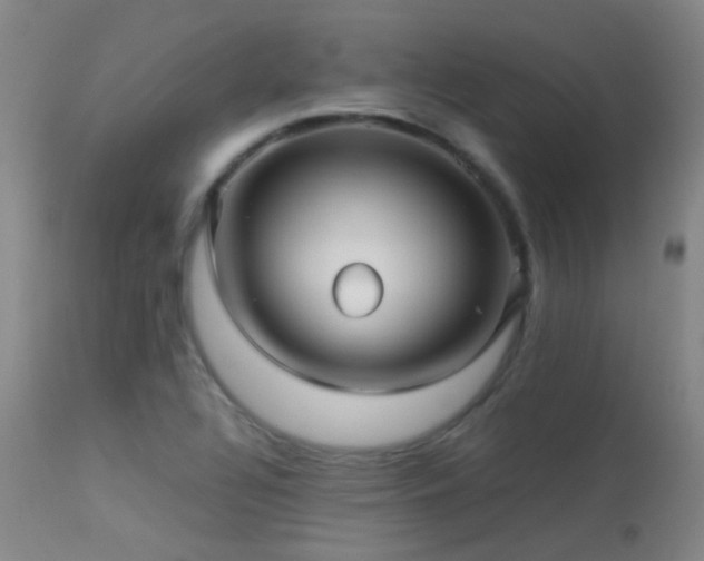 X0000113251320200909171617