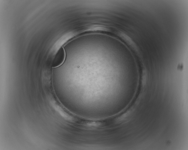 X0000113251321200909171617