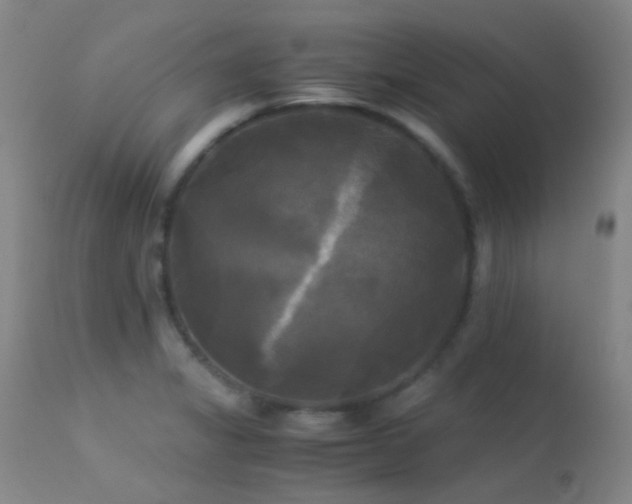 X0000113251325200909171617