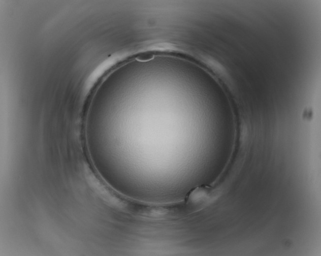 X0000113251326200909171617