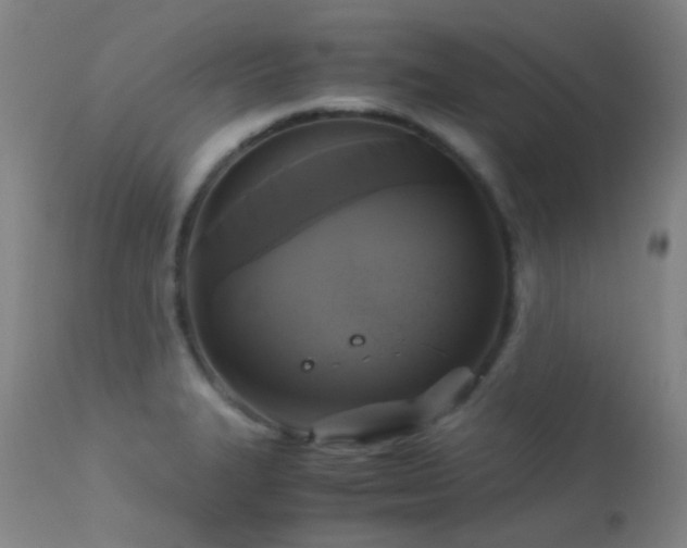 X0000113251327200909171617