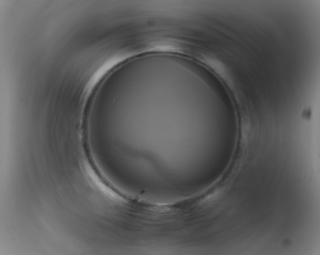 X0000113251331200909171617