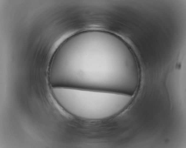 X0000113251333200909171617