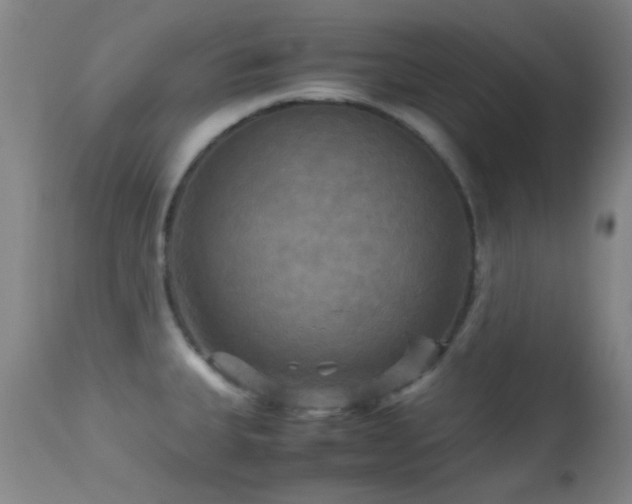 X0000113251335200909171617