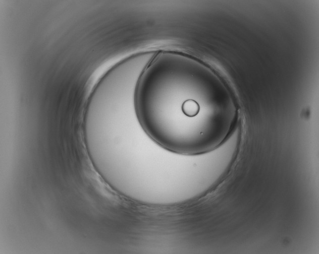 X0000113251336200909171617