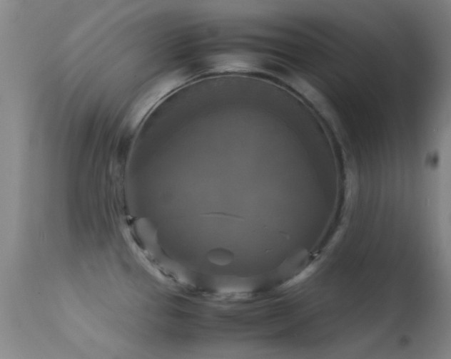 X0000113251337200909171617
