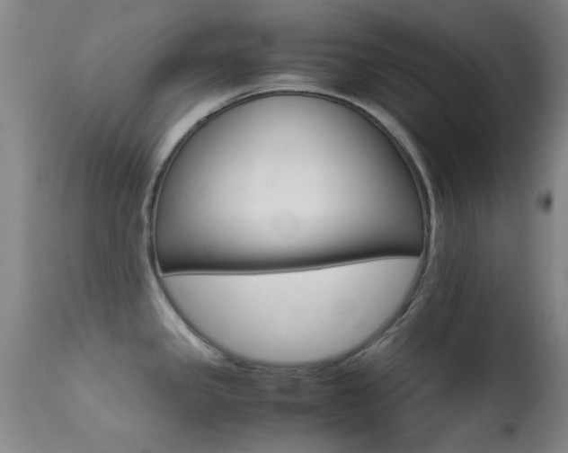 X0000113251341200909171617