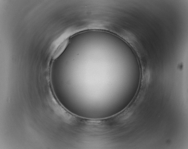 X0000113251342200909171617