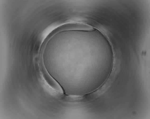 X0000113251344200909171617