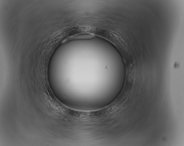 X0000113251345200909171616