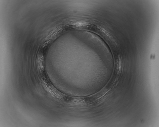 X0000113251346200909171616