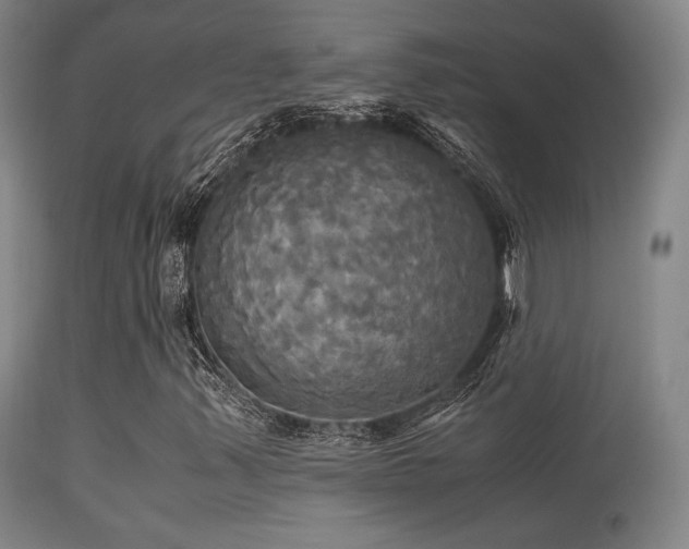X0000113251347200909171616
