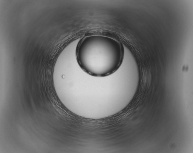 X0000113251348200909171616