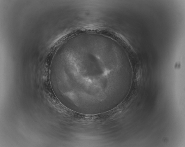 X0000113251350200909171616