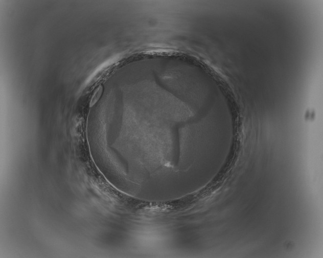X0000113251351200909171616