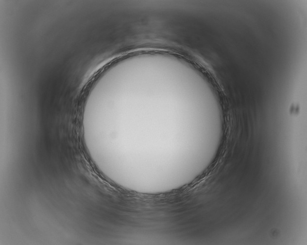 X0000113251352200909171616