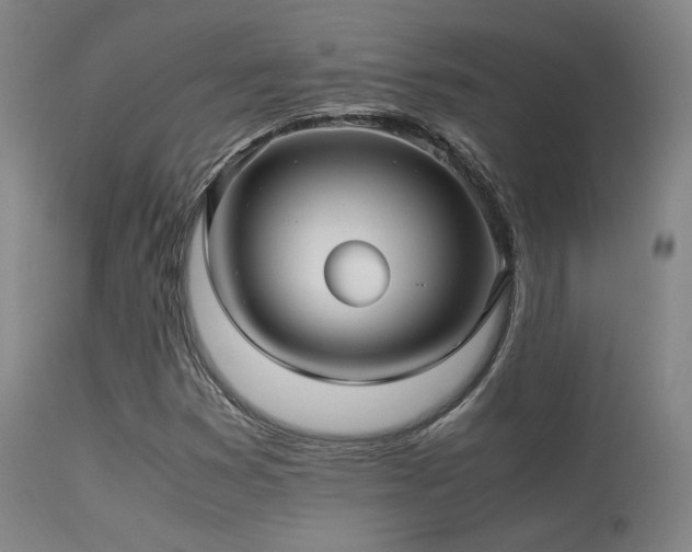 X0000113251353200909171616